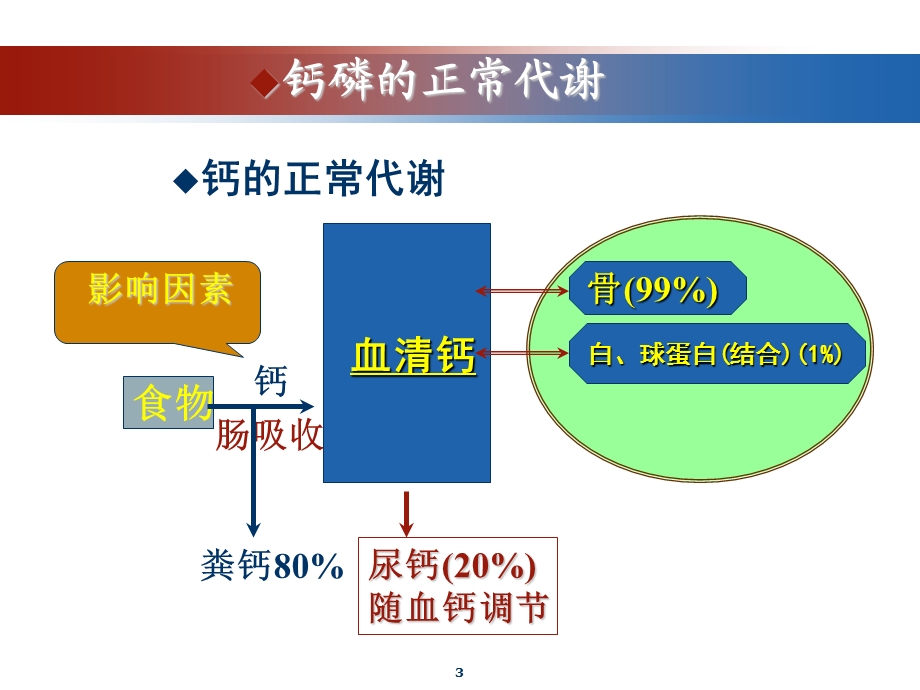 高钙血症课件.ppt_第3页