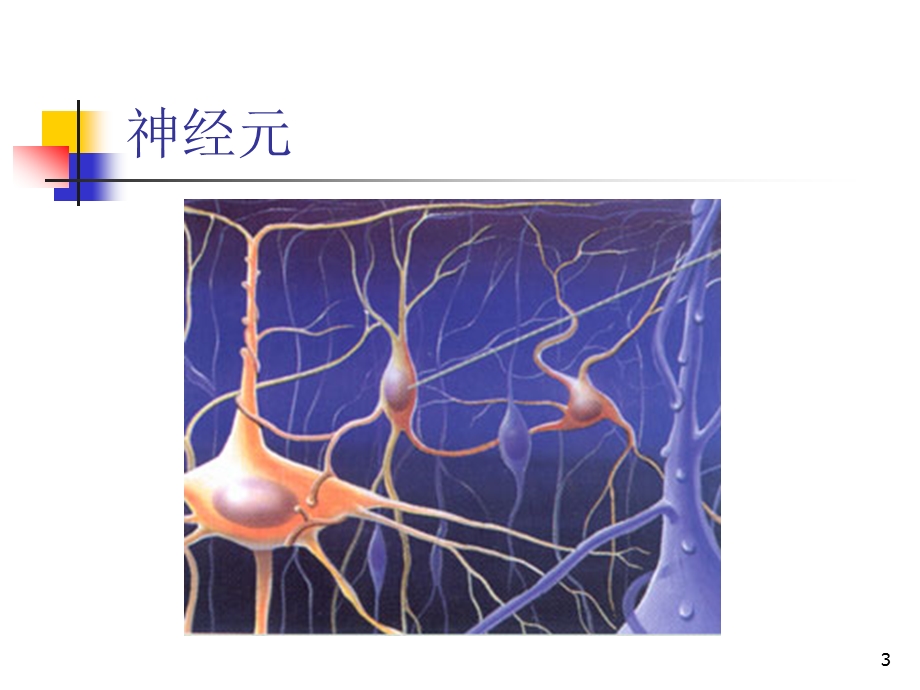 神经电生理检查课件.ppt_第3页
