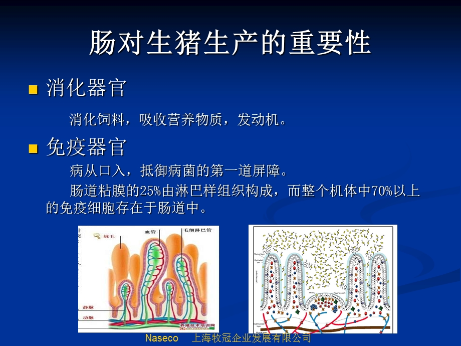 可速必宁长沙培训课件.ppt_第2页