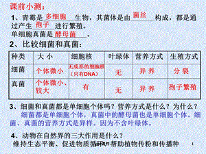 八年级生物上册细菌和真菌在自然界中的作用ppt课件.ppt