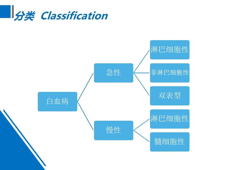 白血病的分类与诊断课件.ppt_第3页