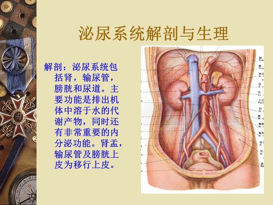 泌尿系结石的诊治课件.ppt_第2页