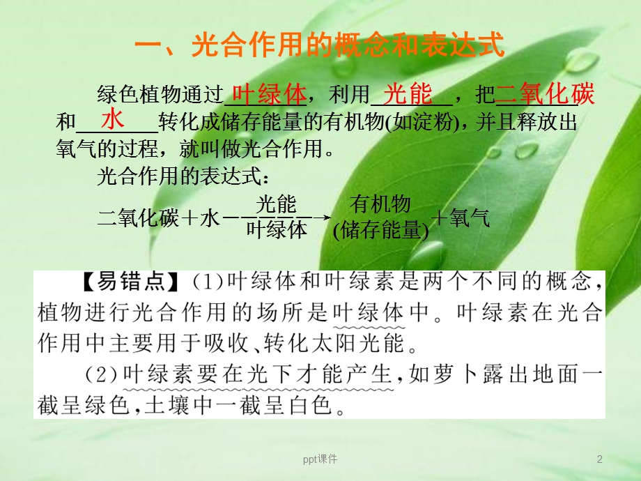 绿色植物的光合作用专题复习课件.ppt_第2页