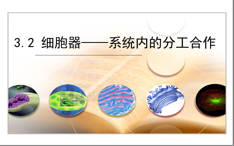 细胞器—系统内的分工合作课件.ppt_第1页