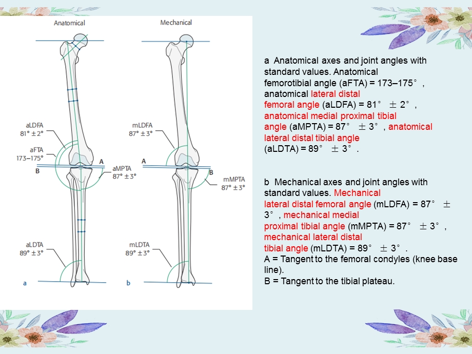 膝关节骨关节炎手术治疗方案课件.ppt_第3页