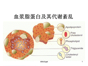 血浆脂蛋白及其代谢紊乱课件.ppt