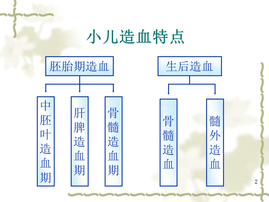 儿科护理学造血系统疾病患儿的护理课件.ppt_第2页