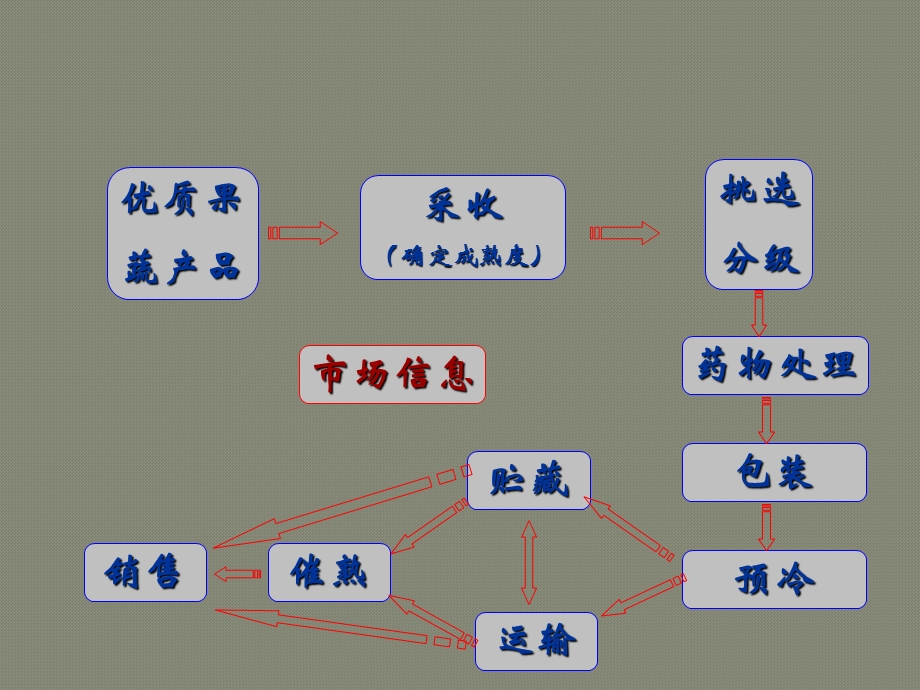 第二章果品蔬菜的采收与采后处理课件.ppt_第3页