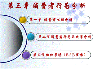 市场营销 消费者行为分析课件.ppt