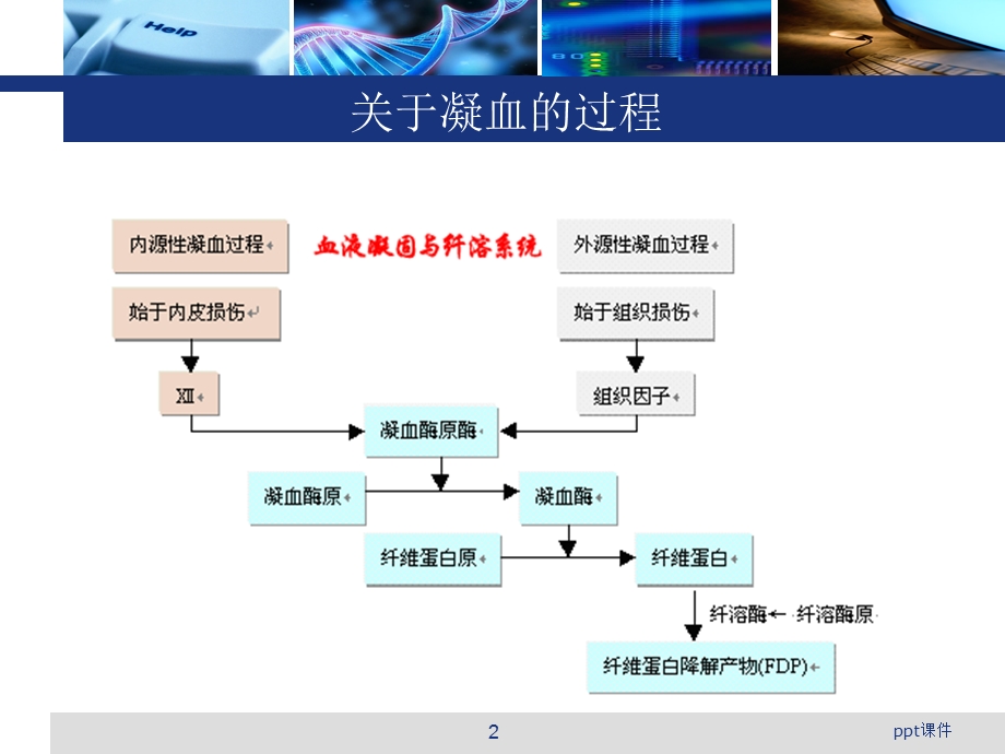 氨甲环酸在骨科中的应用情况课件.ppt_第2页