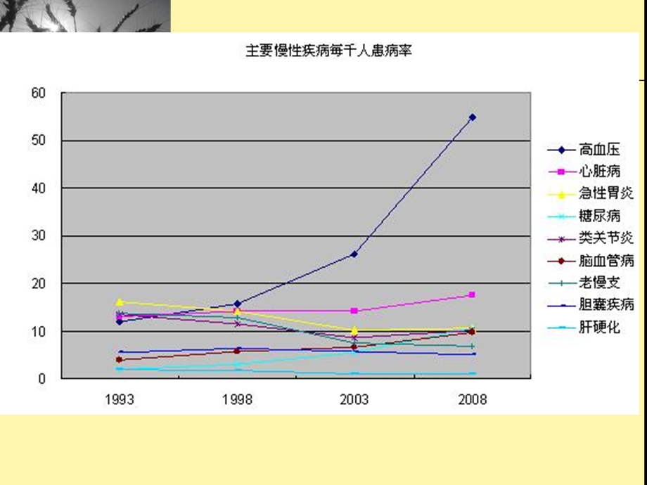 社区慢性病的护理课件.ppt_第2页