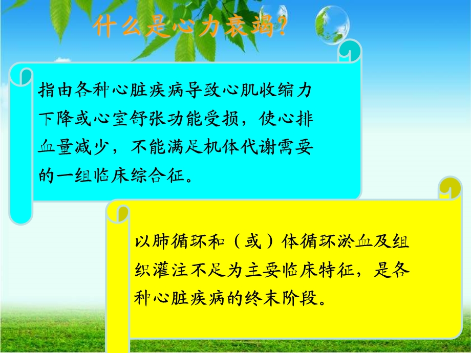 心力衰竭的护理 课件.ppt_第2页