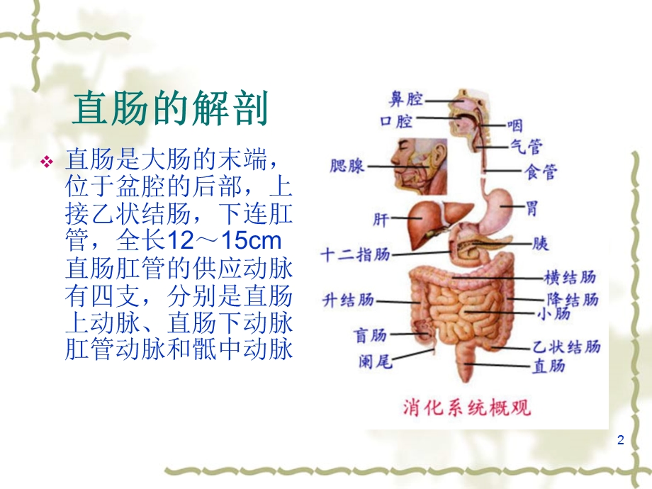 腹腔镜下直肠癌根治术课件.ppt_第2页