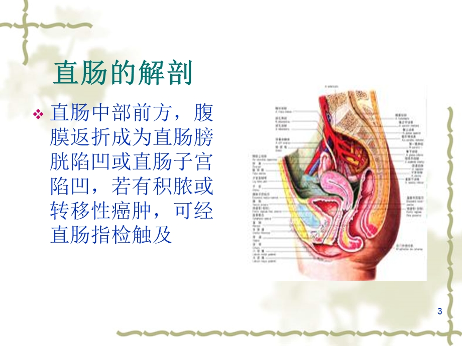 腹腔镜下直肠癌根治术课件.ppt_第3页