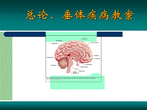 内分泌总论 垂体病课件.ppt