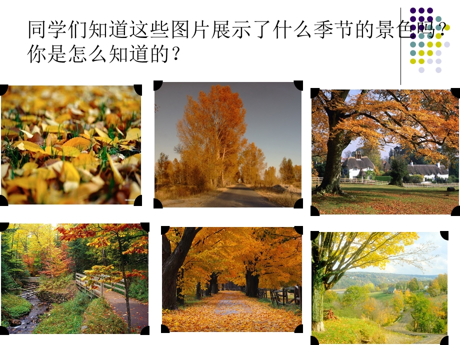 秋天的色彩作文指导课件.ppt_第2页