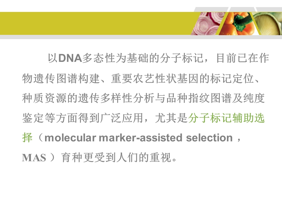 分子标记辅助选择课件.ppt_第3页