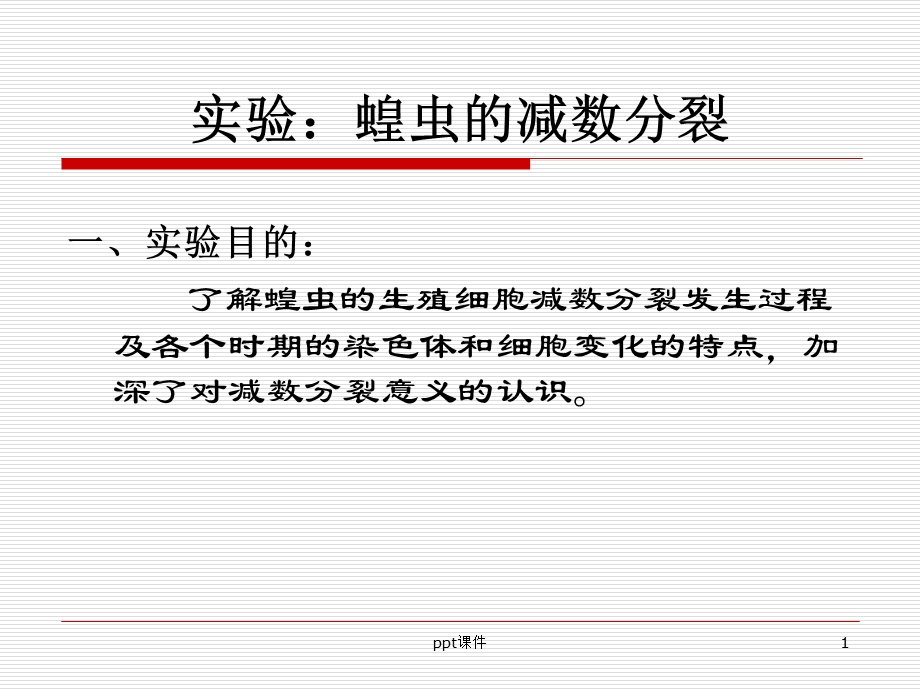 实验.蝗虫的减数分裂课件.ppt_第1页