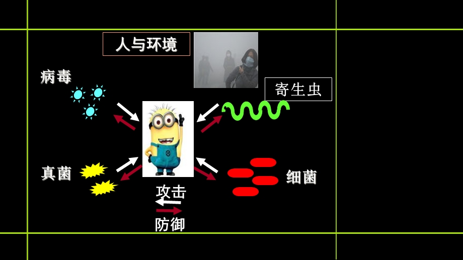 基础医学概论免疫学资料课件.ppt_第3页