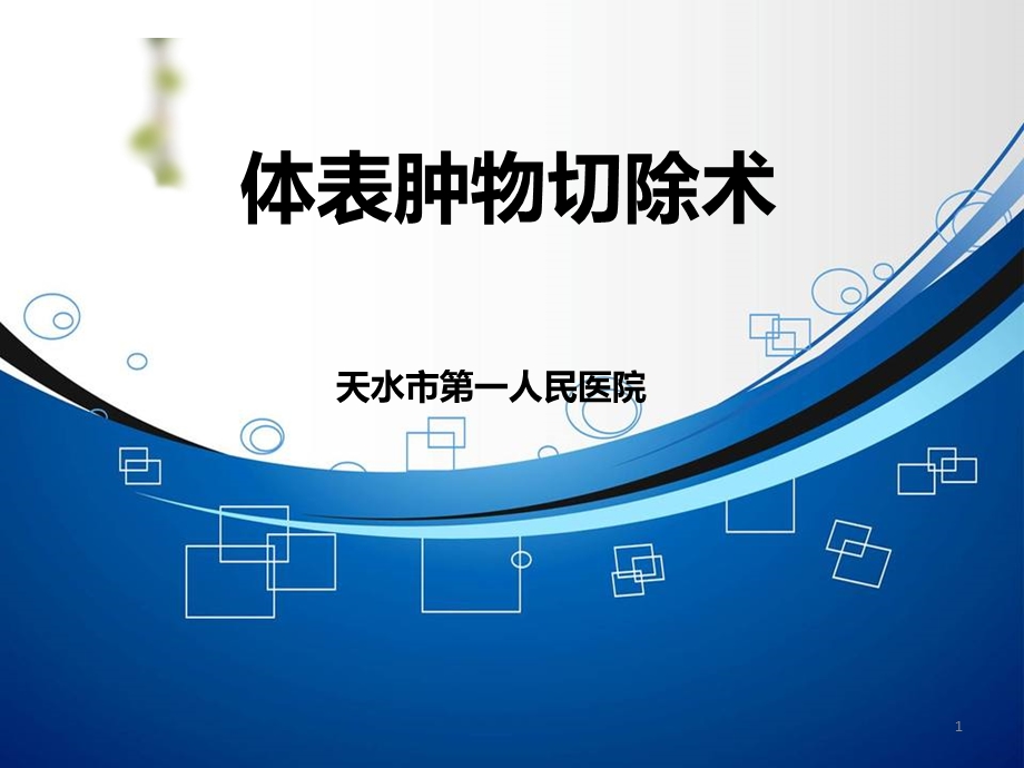 体表肿物切除术课件.ppt_第1页