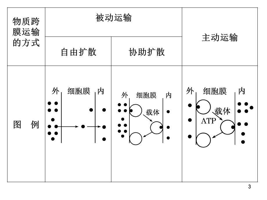 影响物质跨膜运输的因素课件.ppt_第3页