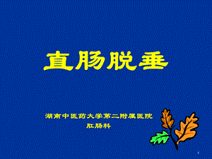 直肠脱垂课件.ppt