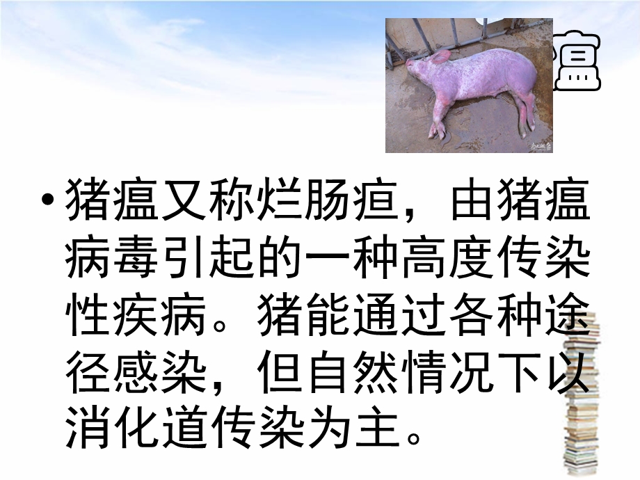 猪的常见病毒病防治课件.pptx_第2页