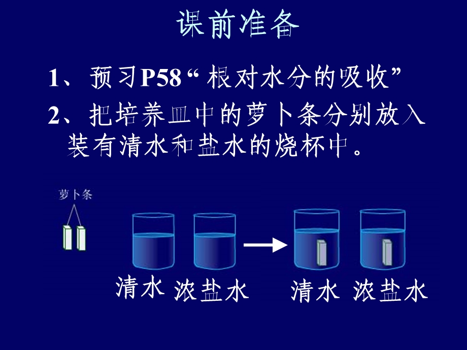 冀教版八年级生物上册第二章第二节根对水分的吸收课件.ppt_第2页