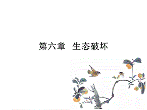 生态破坏 课件.ppt