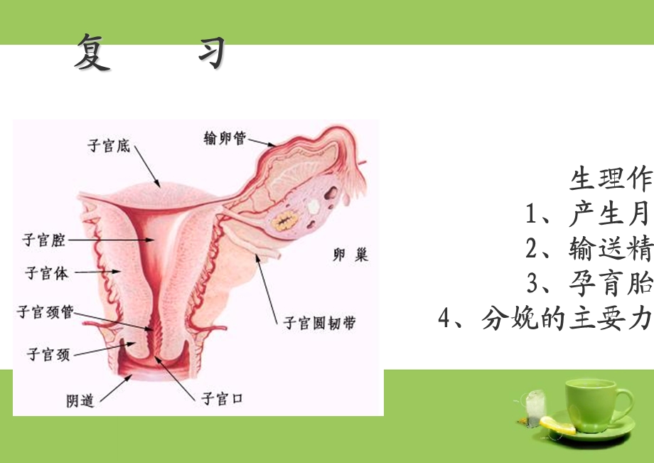 子宫颈癌病人的护理课件.ppt_第1页