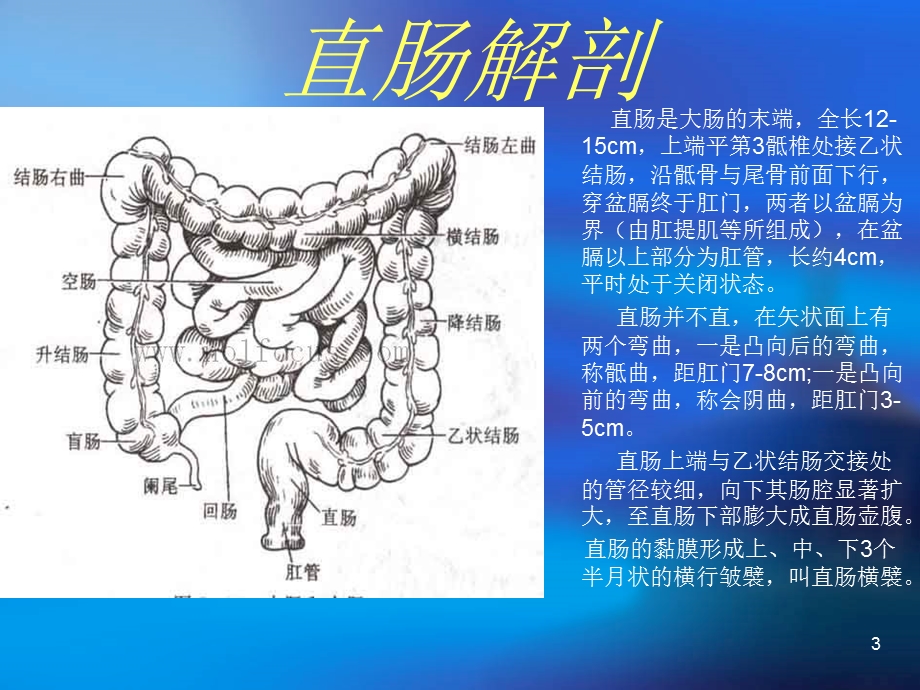 直肠癌手术配合课件.ppt_第3页