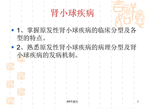 肾小球疾病(教学)课件.ppt