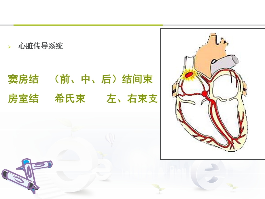 心律失常病人的护理课件.ppt_第3页