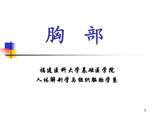 麻醉解剖学胸部课件.ppt