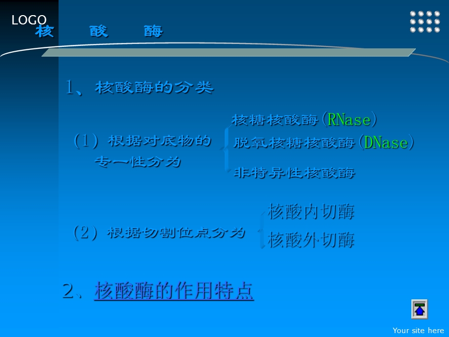 核酸的酶促降解和核苷酸代谢课件.ppt_第3页