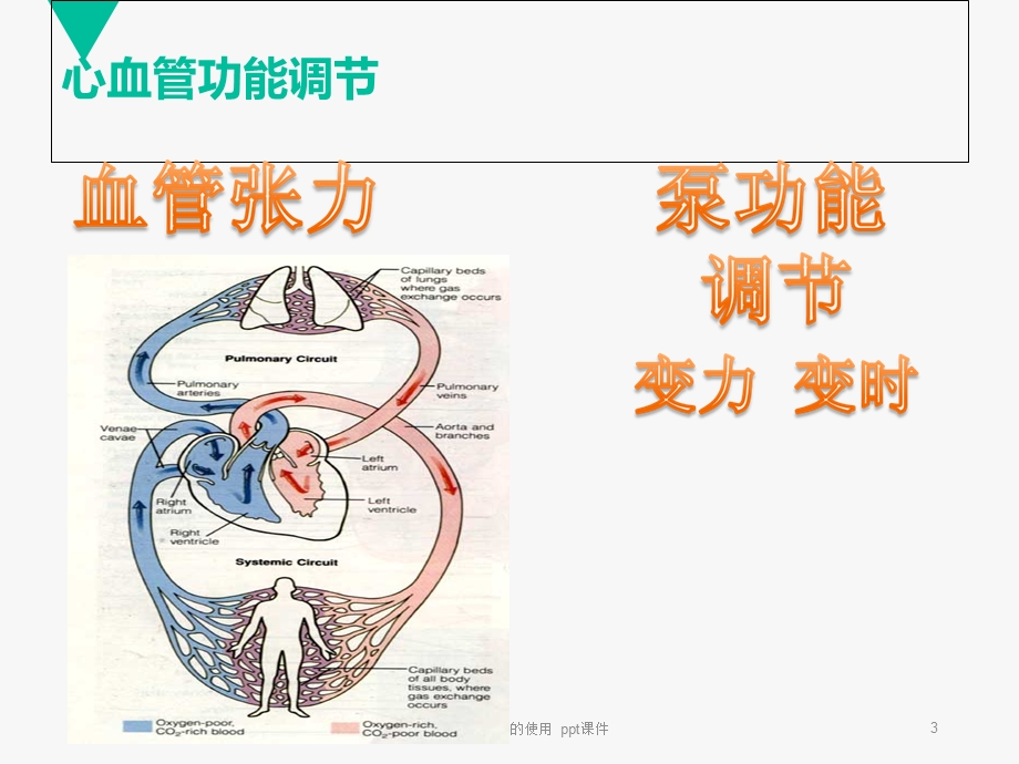 心血管活性药物的使用 课件.ppt_第3页