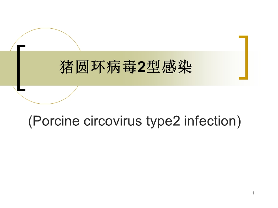 猪圆环病毒感染课件.ppt_第1页