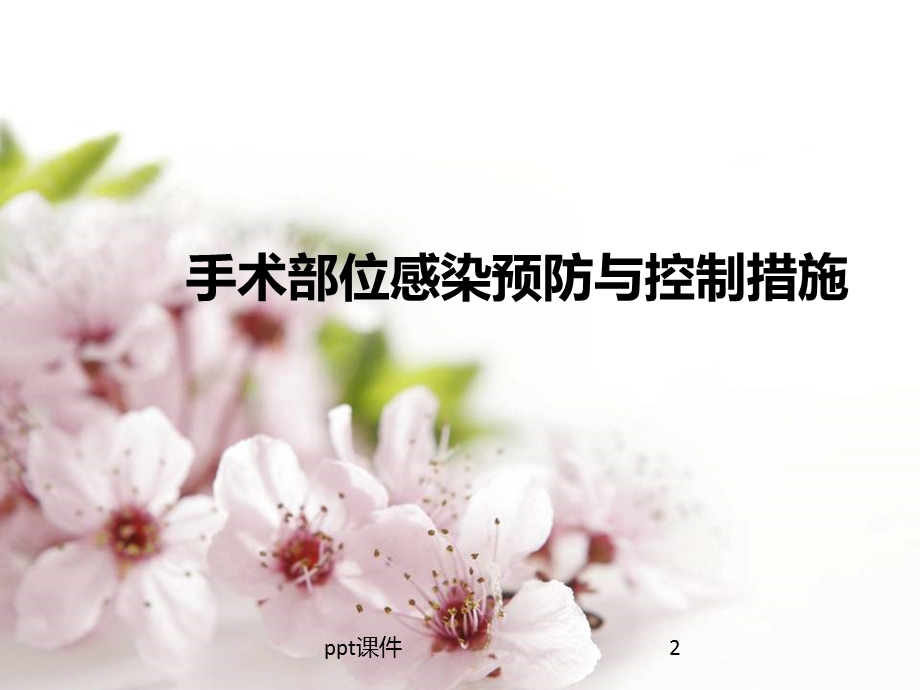 手术部位感染预防与控制措施 课件.ppt_第2页