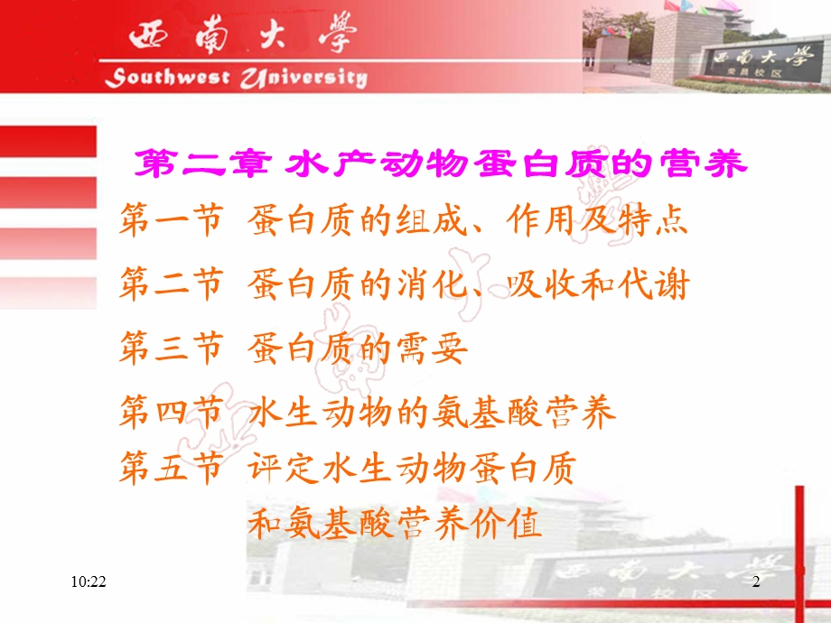 第二章水产动物蛋白质的营养课件.ppt_第2页