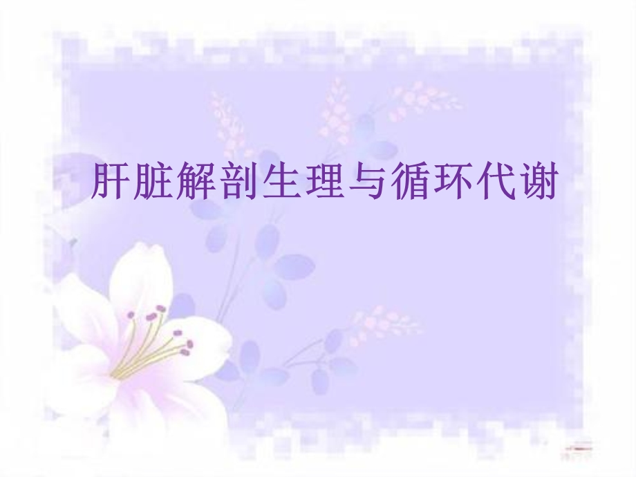 肝脏的生理课件.ppt_第3页