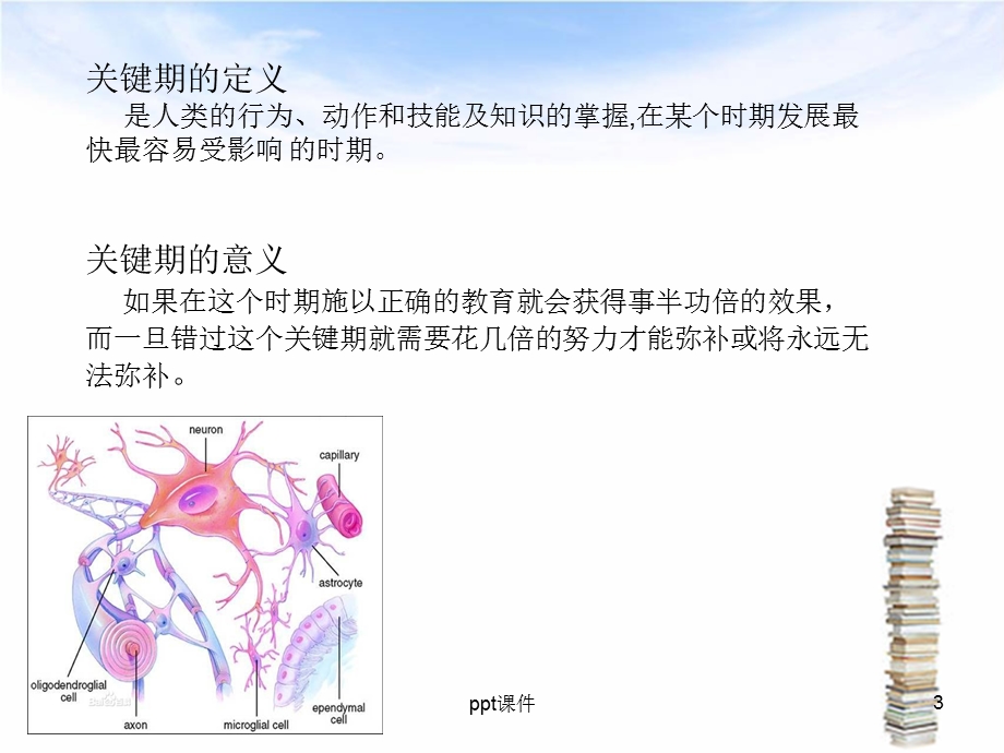 儿童生理发育里程碑课件.ppt_第3页