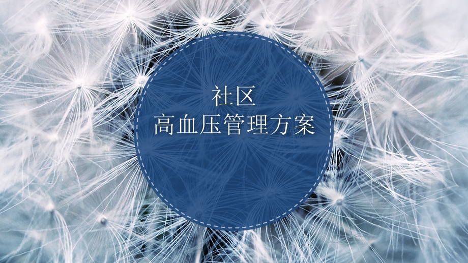 社区高血压管理方案课件.ppt_第1页