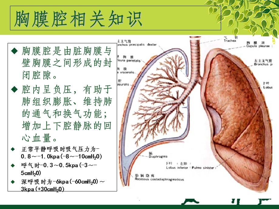 气胸围手术期的护理课件.ppt_第3页