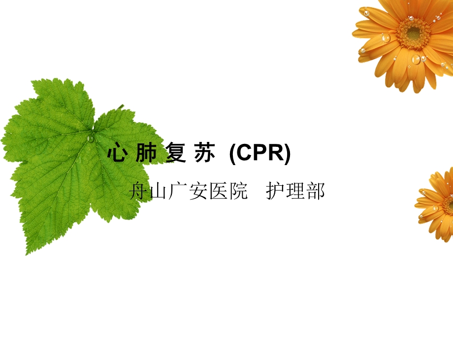 心肺复苏操作指南课件.ppt_第1页