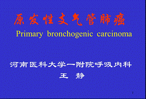 肺癌简介课件.ppt