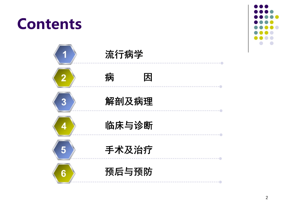 结直肠癌课件.ppt_第2页