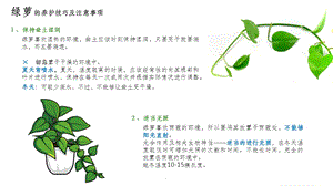 常见绿植养护方法课件.ppt