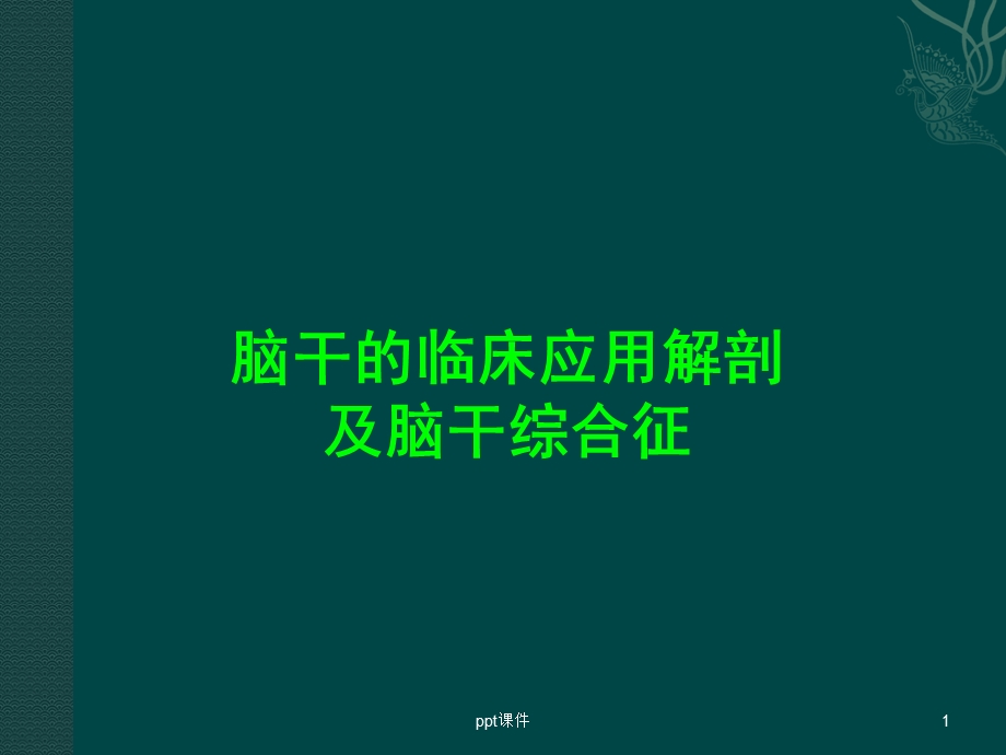 脑干解剖及脑干综合征课件.ppt_第1页