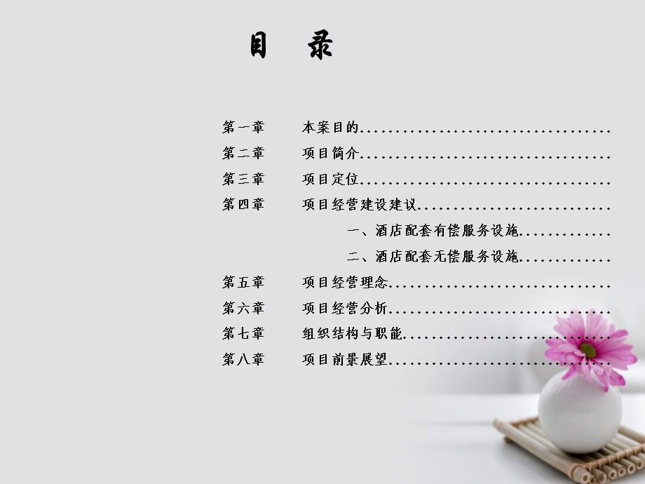 酒店配套项目经营方案课件.ppt_第2页