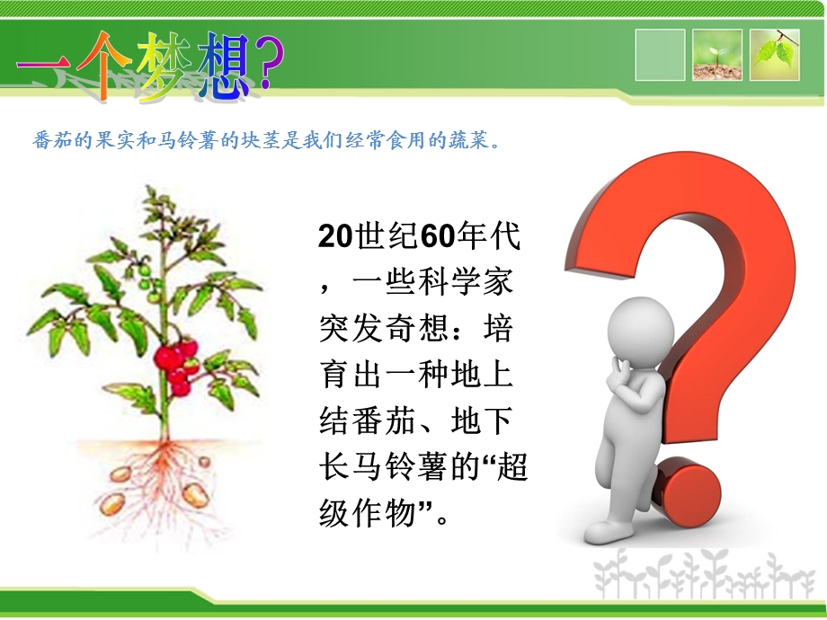 植物体细胞杂交技术 最新版本课件.ppt_第3页